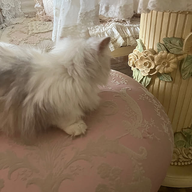 AYUKOさんの部屋