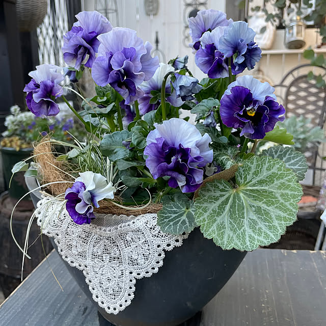 shiropenguinさんの部屋