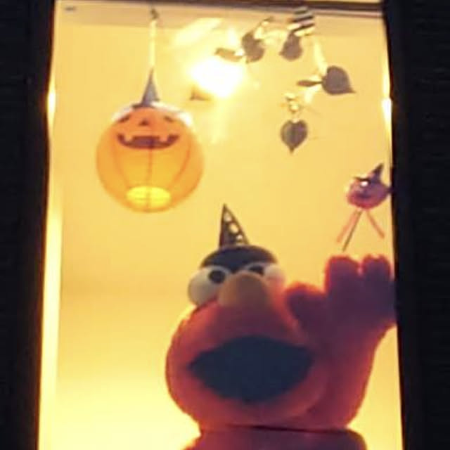 toshihiro323さんの実例写真