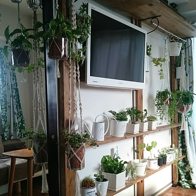 springcanolaさんの実例写真