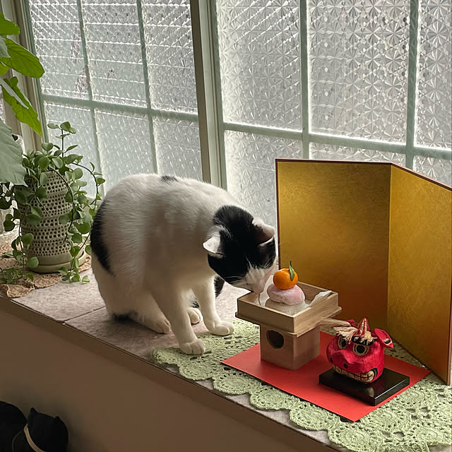 nobikoさんの実例写真