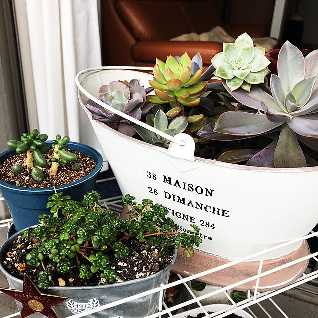 miyamiyaさんの実例写真