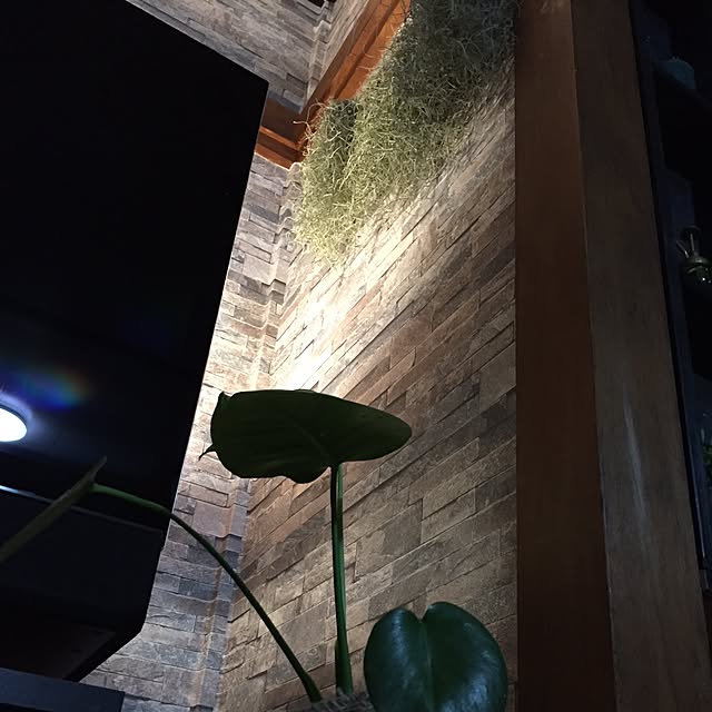 susanさんの実例写真