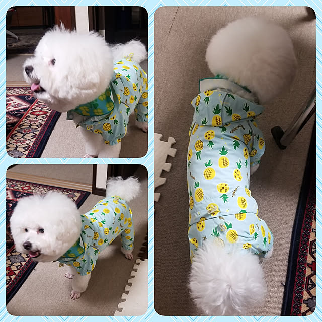 takoさんの実例写真