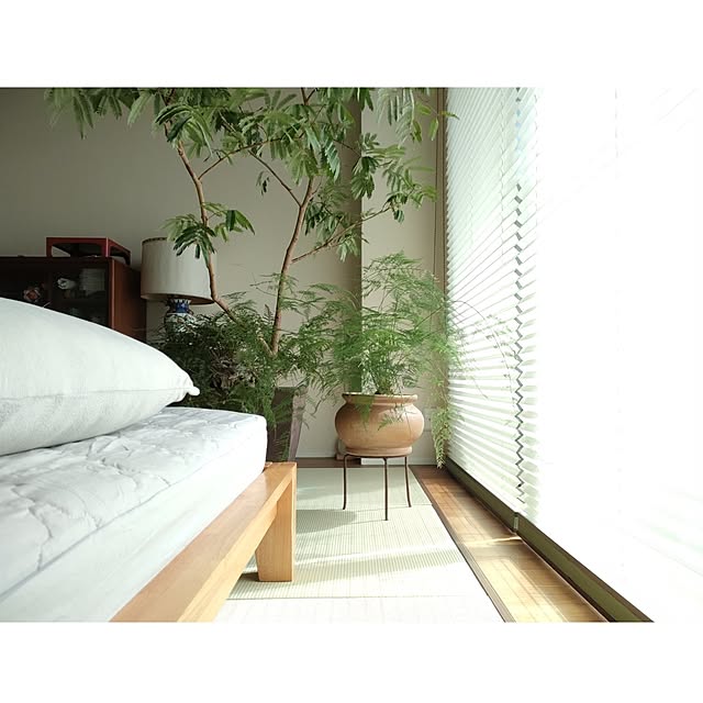 hana-さんの実例写真