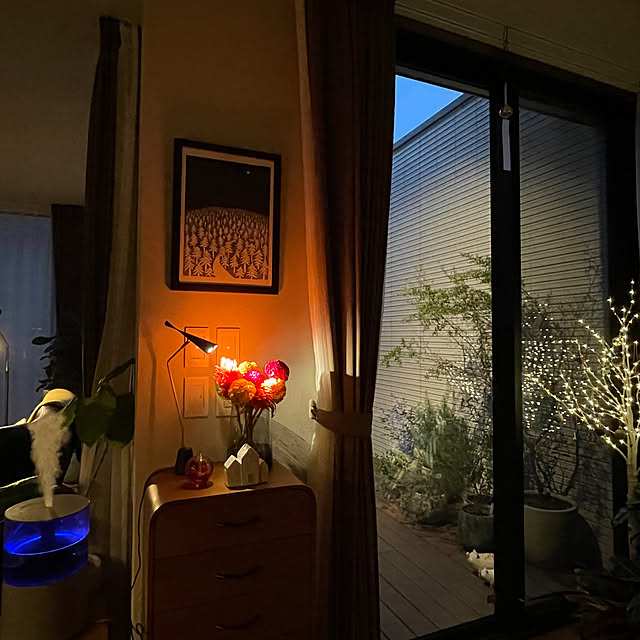 akotannさんの実例写真