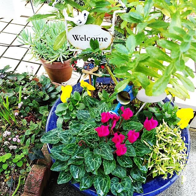 katさんの実例写真