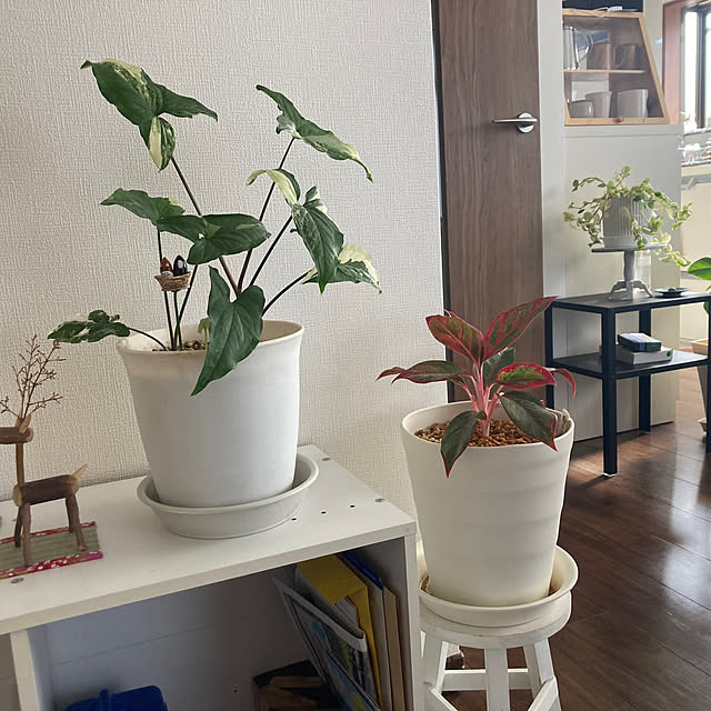 mamaさんの実例写真