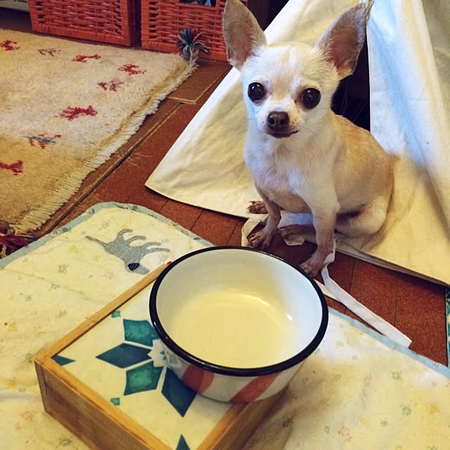 tubutanさんの実例写真