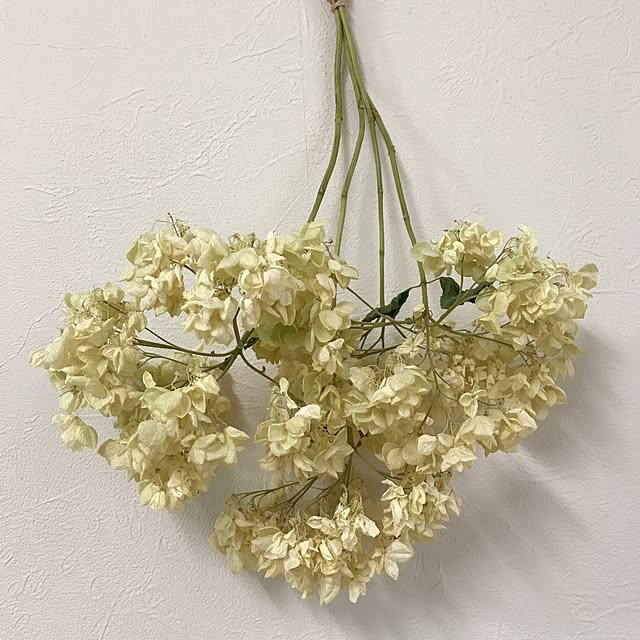 shitoshiさんの実例写真