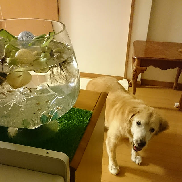 mikamikaさんの実例写真