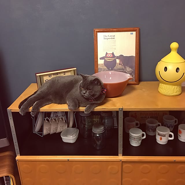 Shojiさんの実例写真