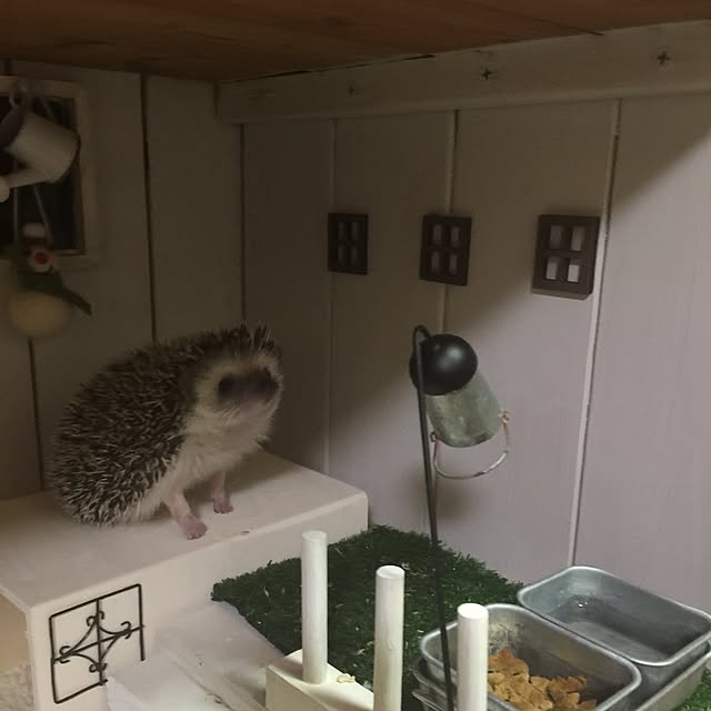 RURULOVEさんの実例写真