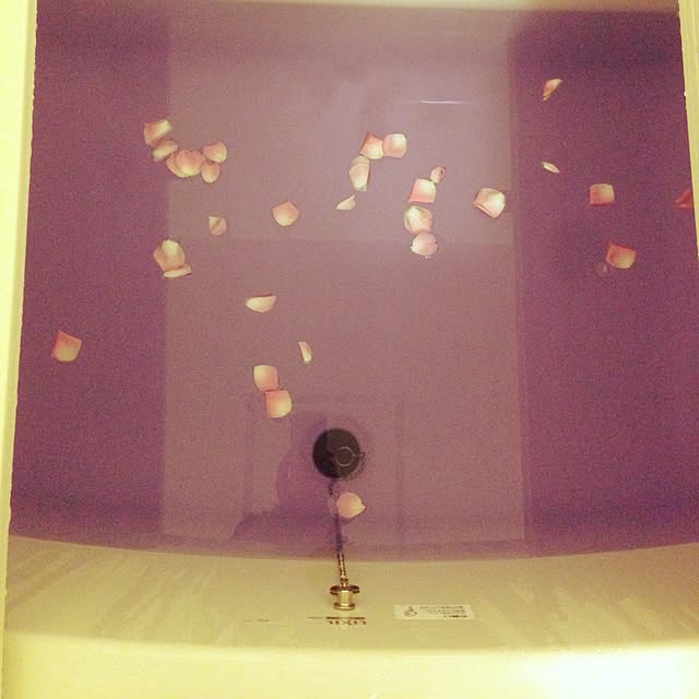 sunnyさんの実例写真