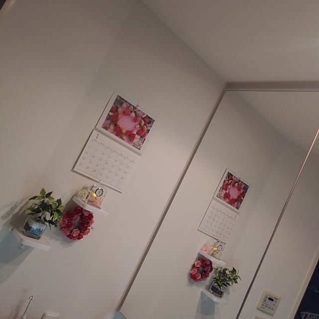 実例写真