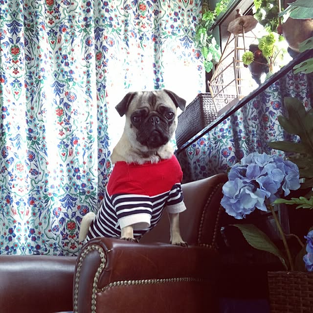 rereさんの実例写真