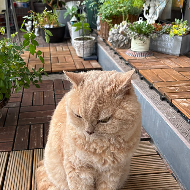 naokoさんの部屋