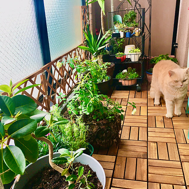 naokoさんの実例写真