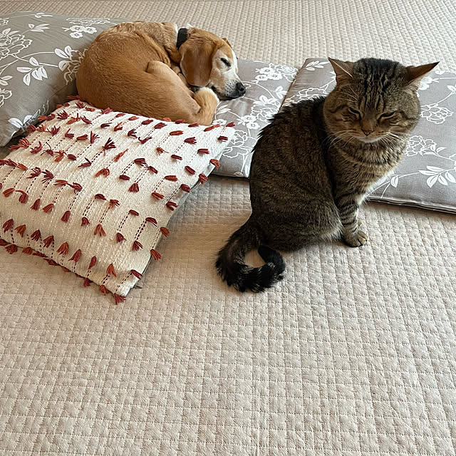 kuuさんの実例写真