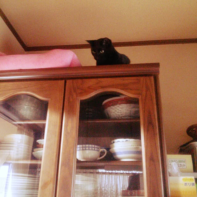 tomopさんの実例写真