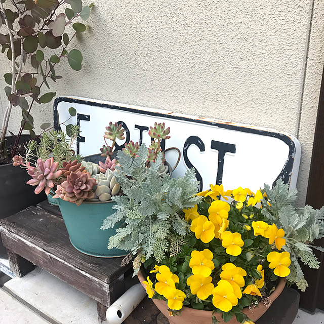 akkoさんの実例写真
