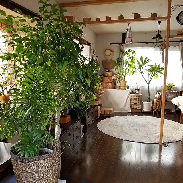 midoriさんの実例写真