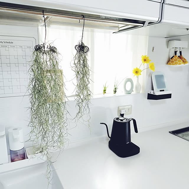 nachiさんの部屋