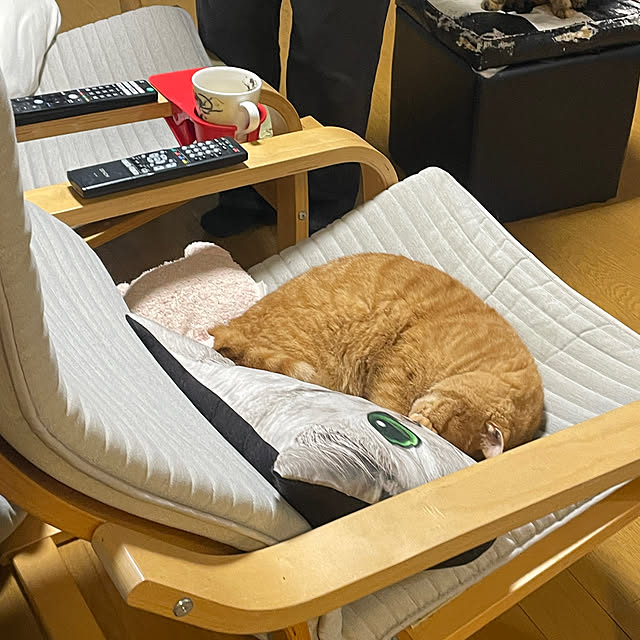 nekohagu2022さんの実例写真