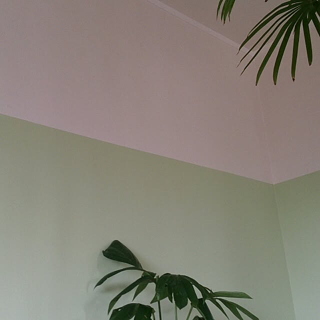 cloverさんの実例写真