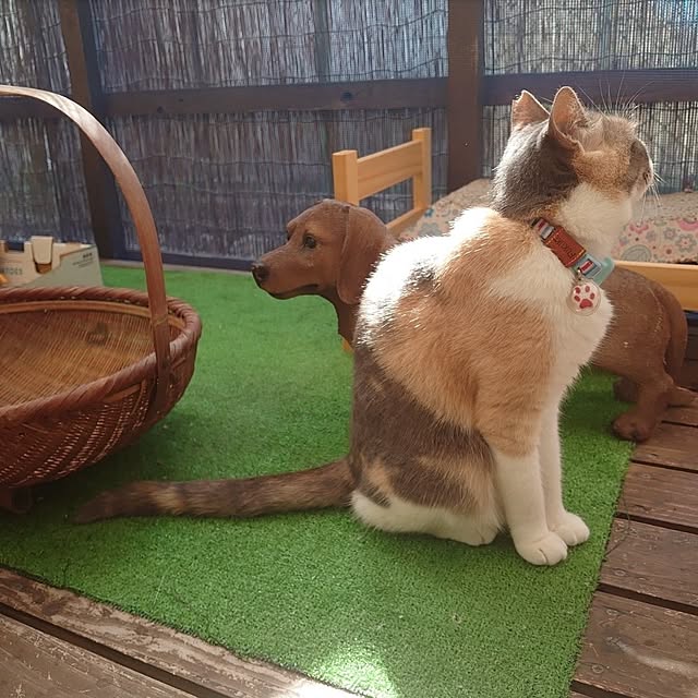 fukuさんの部屋