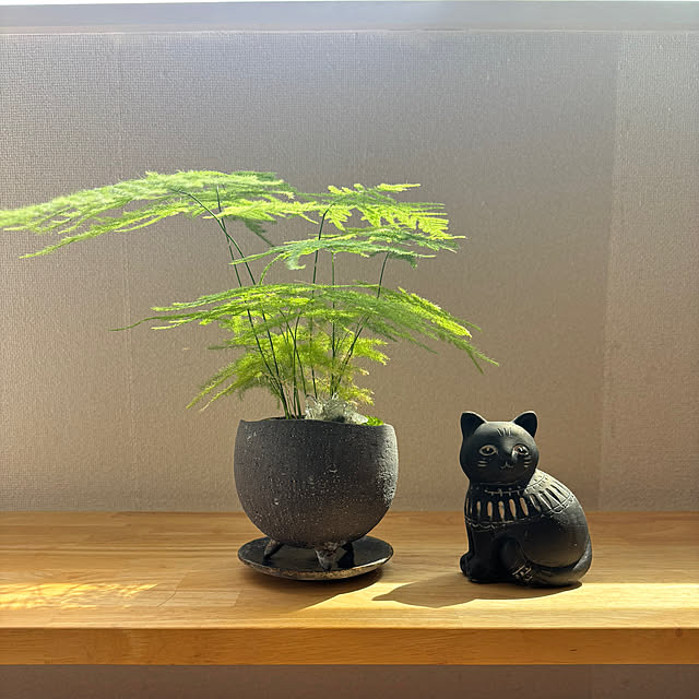 naru.さんの実例写真
