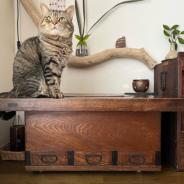 kuuさんの実例写真