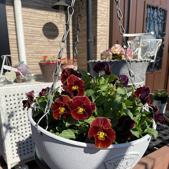 ronronさんの実例写真