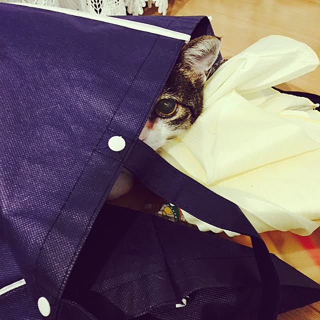 minkokoさんの実例写真