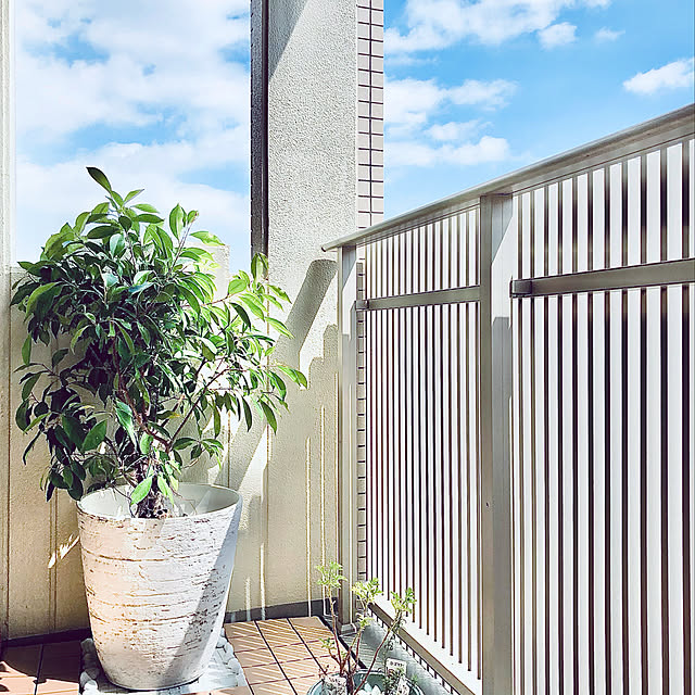 teracoyaWORLDさんの実例写真
