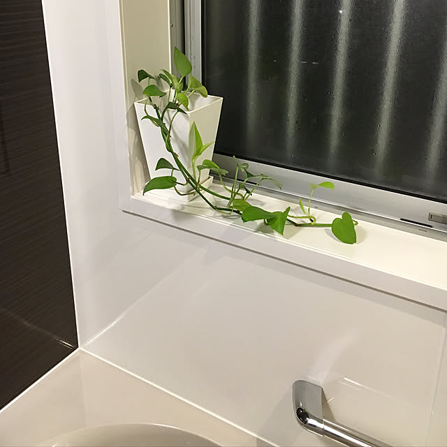 maimaiさんの実例写真