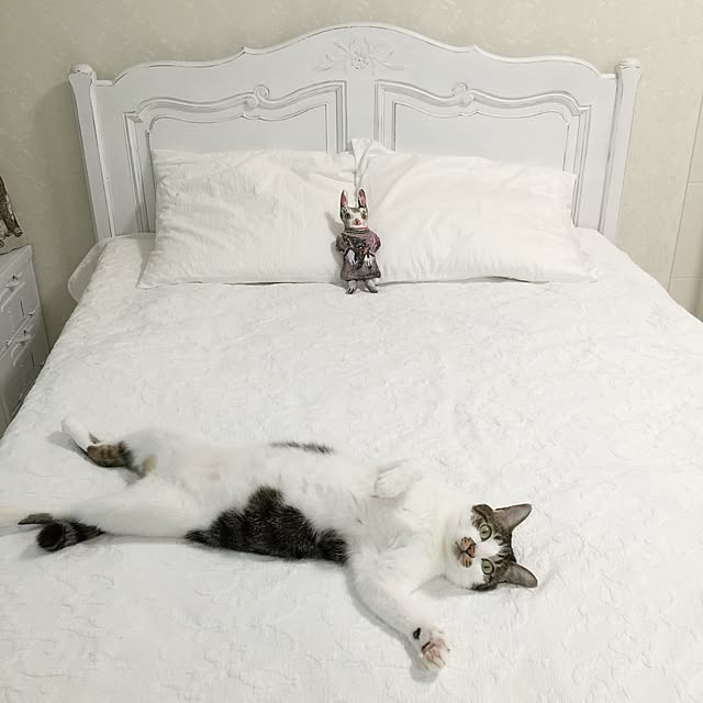 yuchiさんの実例写真