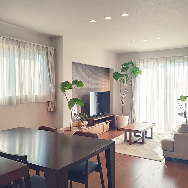 tan5さんの実例写真