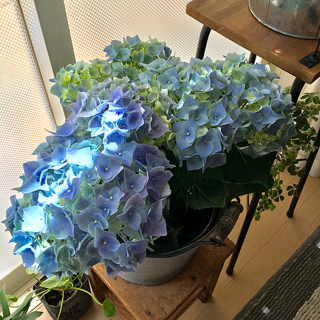furu.さんの実例写真