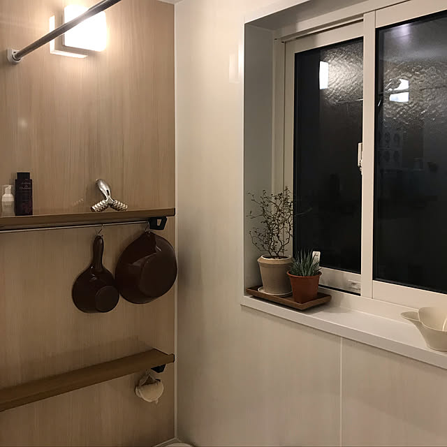 観葉植物/多肉植物/バス/トイレのインテリア実例 - 2019-04-23 19:46:31