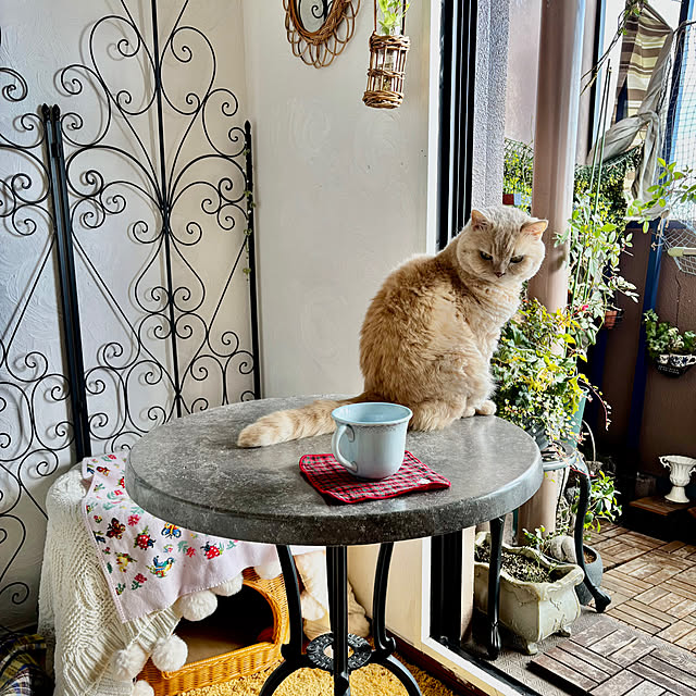 naokoさんの部屋