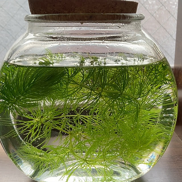 M.H.Sさんの実例写真