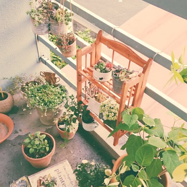tamさんの実例写真