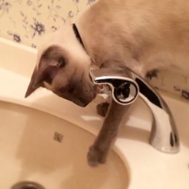 mujinekoさんの実例写真