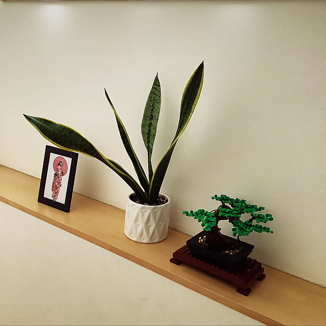 VERANDARJUNさんの実例写真