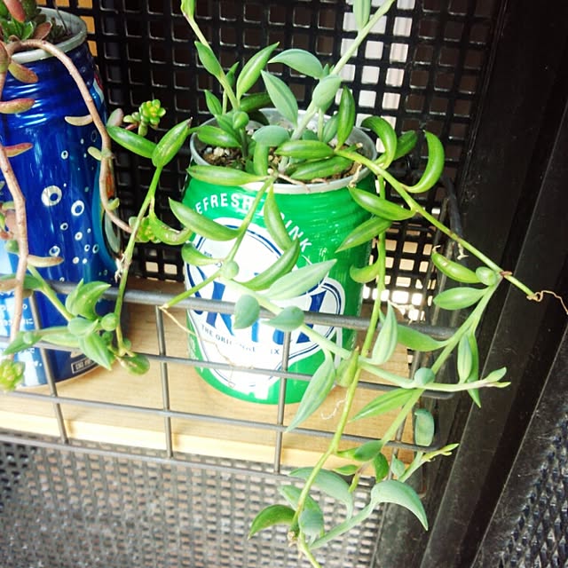 yoshiさんの実例写真