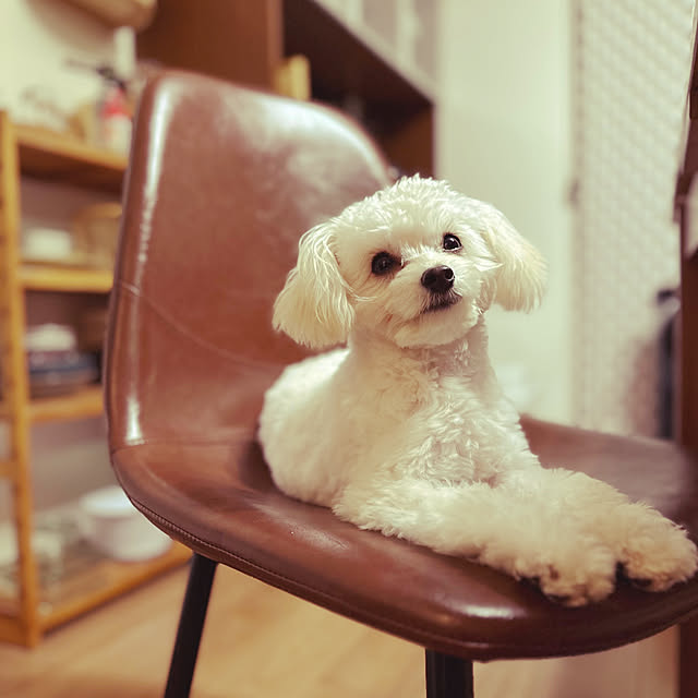 ygtnmr1106さんの部屋