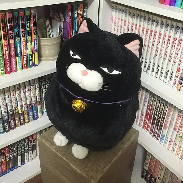 ofuさんの実例写真
