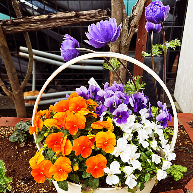 KYONさんの実例写真