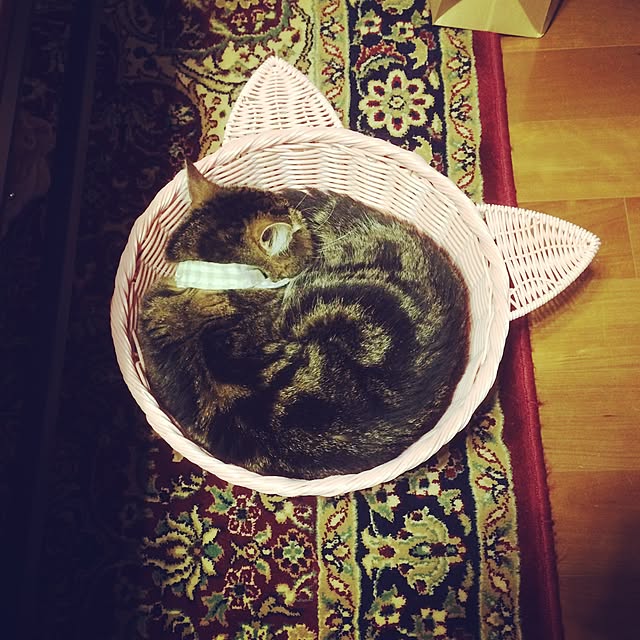 annさんの実例写真